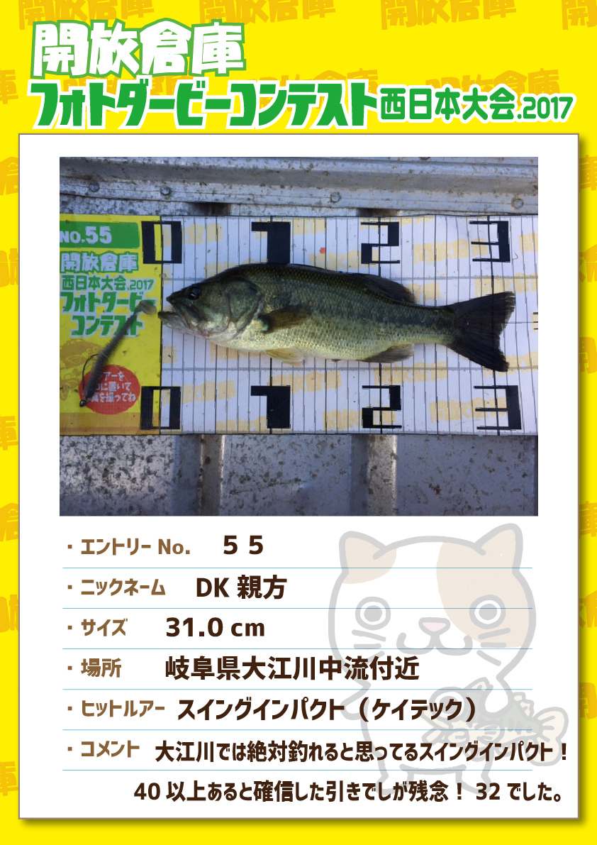 No.055 DK親方 31.0cm 岐阜県大江川中流付近 スイングインパクト（ケイテック） 大江川では絶対釣れると思ってるスイングインパクト！４０以上あると確信した引きでしたが残念！３２でした。